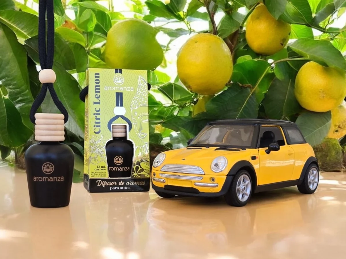 Difusor para autos 12 ml Aromanza