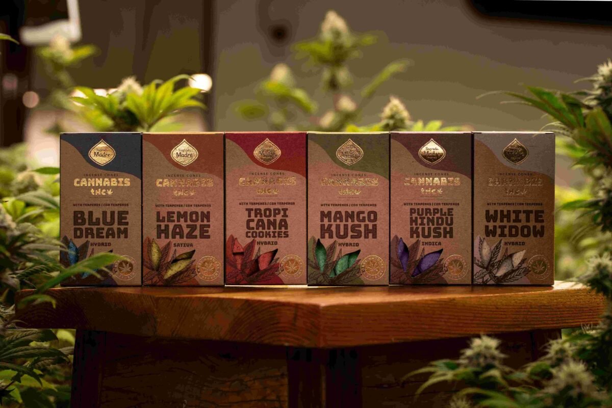 Conos linea grow Cannabis Sagrada madre