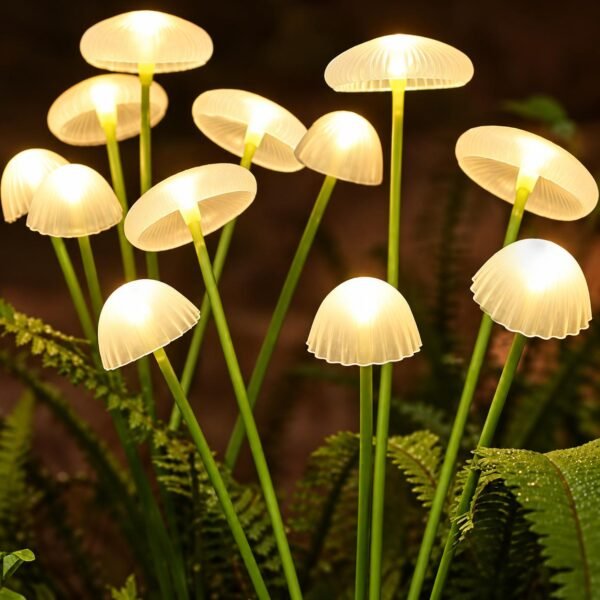Luz solar hongos de jardin